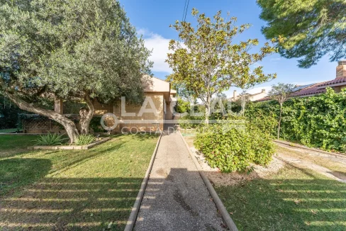 Jardín bien cuidado con vegetación tropical en propiedad de lujo en Vilafortuny.