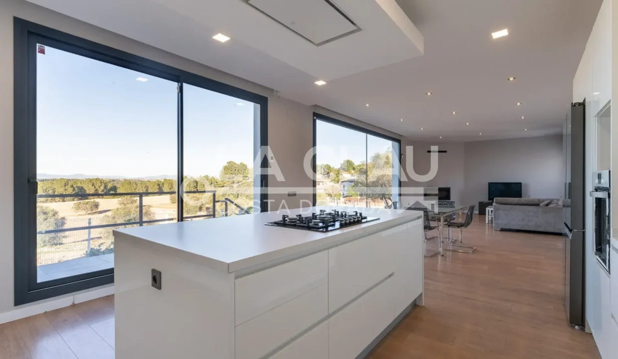 Pallaresos - Dels Plans 12_27